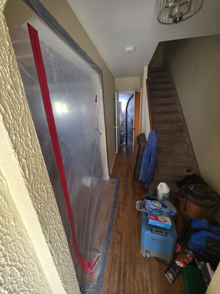 Containment set up to keep dust and spores out of the rest of the home