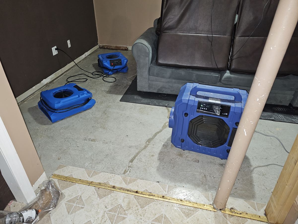 Air movers and a dehumidifier drying a finished room