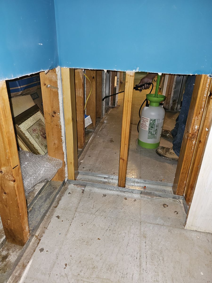 Mold-damaged material removed down to the framing